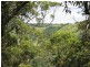 Maleny QLD 4552