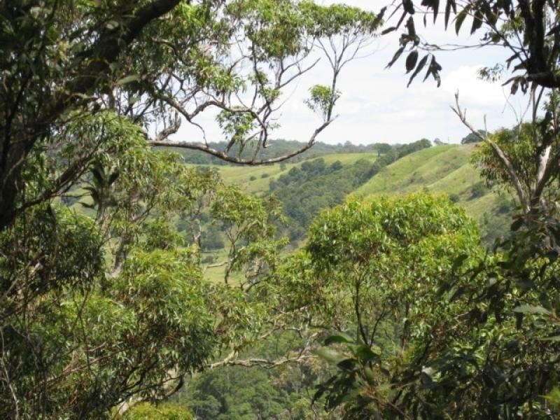 Maleny QLD 4552