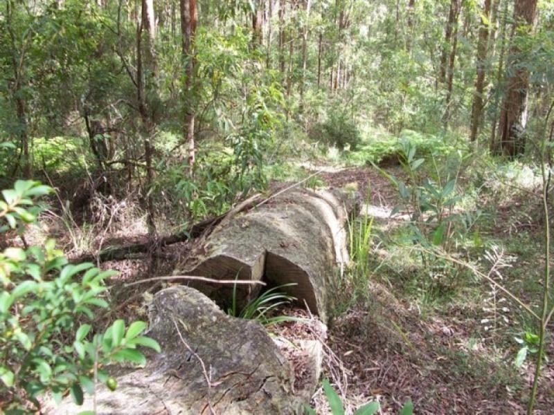 Maleny QLD 4552
