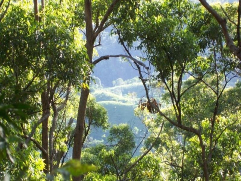 Maleny QLD 4552