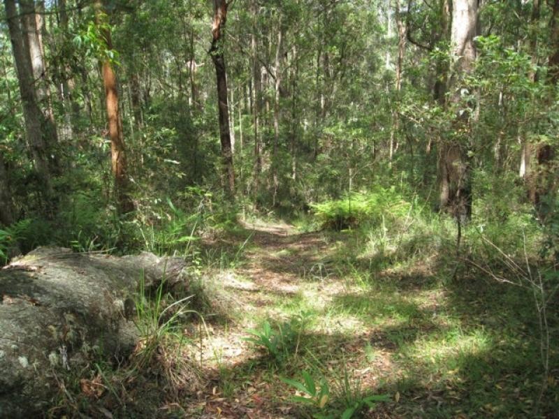 Maleny QLD 4552
