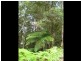 Maleny QLD 4552