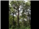 Maleny QLD 4552