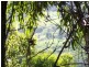 Maleny QLD 4552
