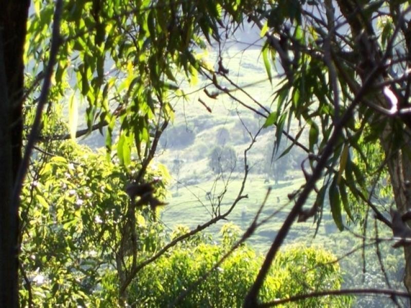Maleny QLD 4552