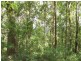 Maleny QLD 4552