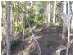 Maleny QLD 4552