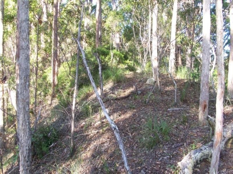Maleny QLD 4552
