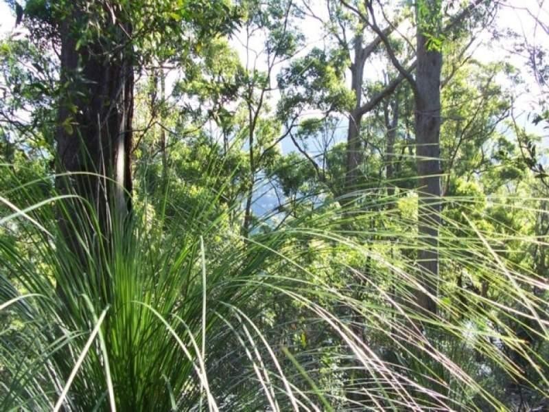 Maleny QLD 4552