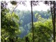 Maleny QLD 4552