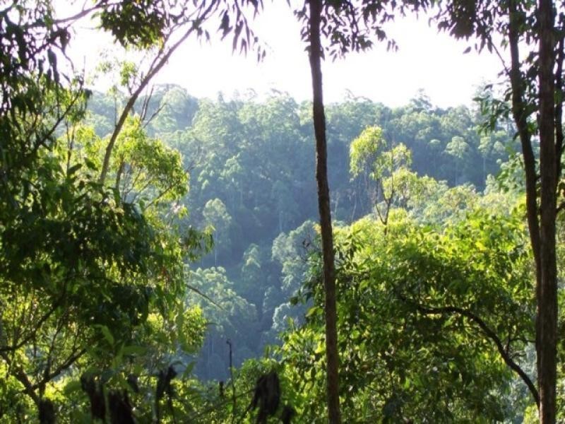 Maleny QLD 4552