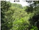 Maleny QLD 4552