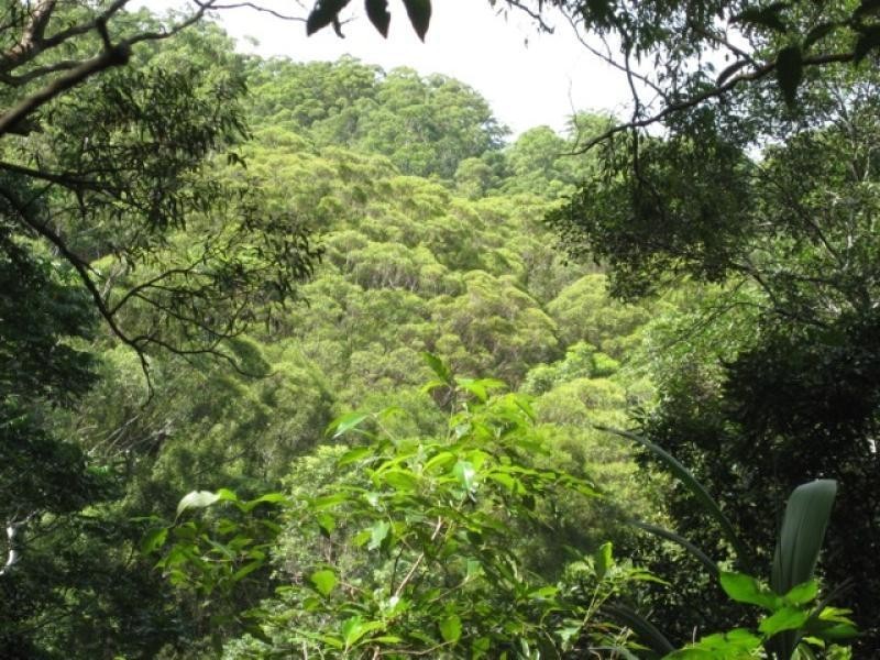Maleny QLD 4552
