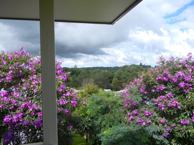 Maleny QLD 4552