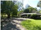 Maleny QLD 4552