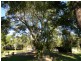 Maleny QLD 4552