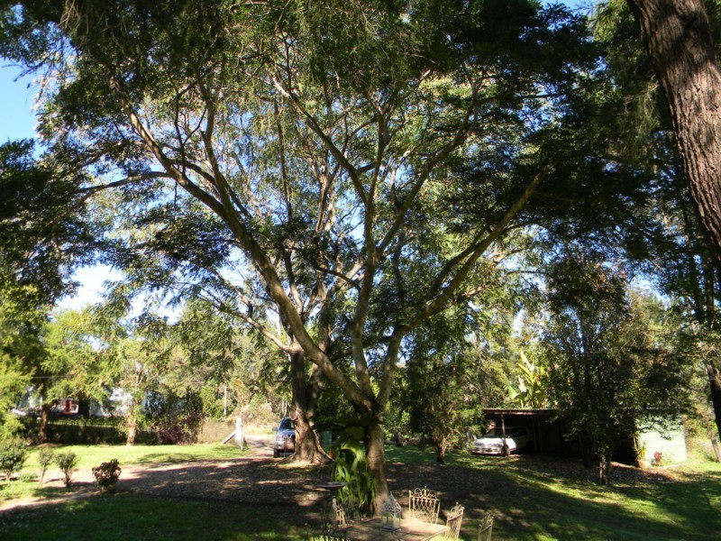 Maleny QLD 4552