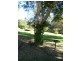 Maleny QLD 4552