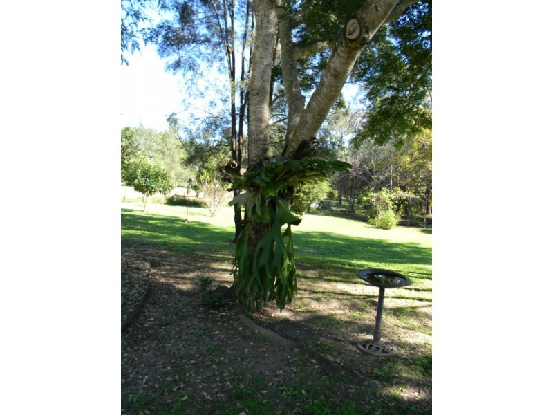 Maleny QLD 4552