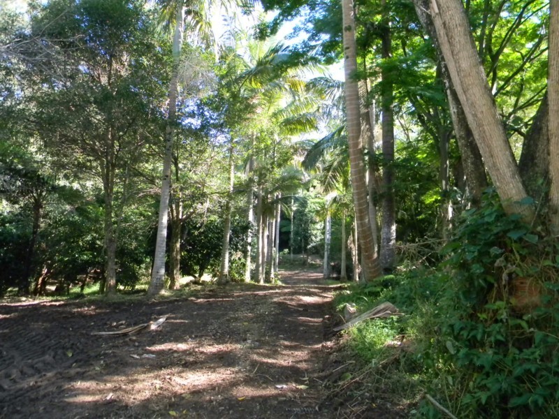 45 Mountain View Road, Maleny QLD 4552