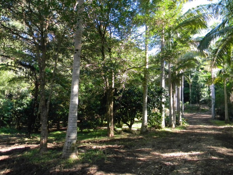 45 Mountain View Road, Maleny QLD 4552