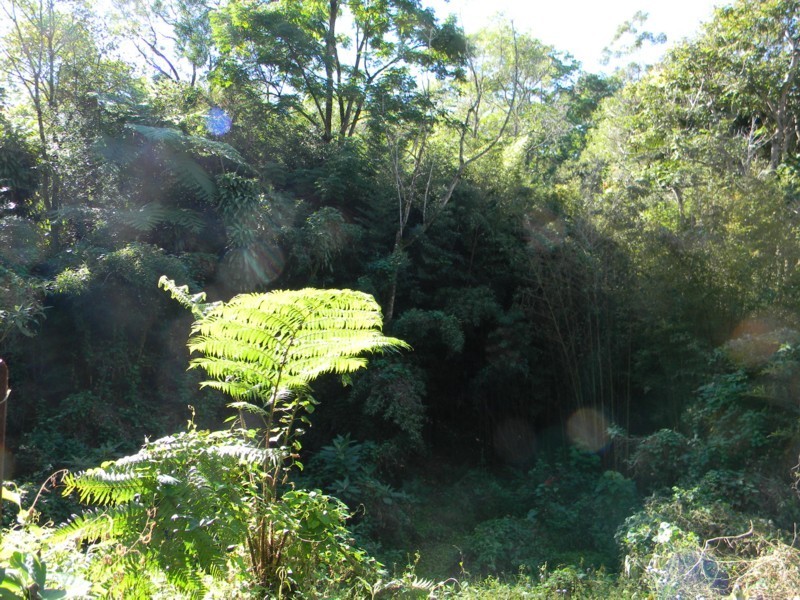 45 Mountain View Road, Maleny QLD 4552