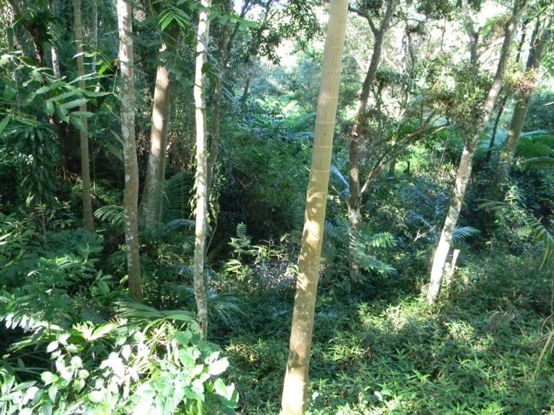 45 Mountain View Road, Maleny QLD 4552