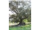 Stanmore QLD 4514