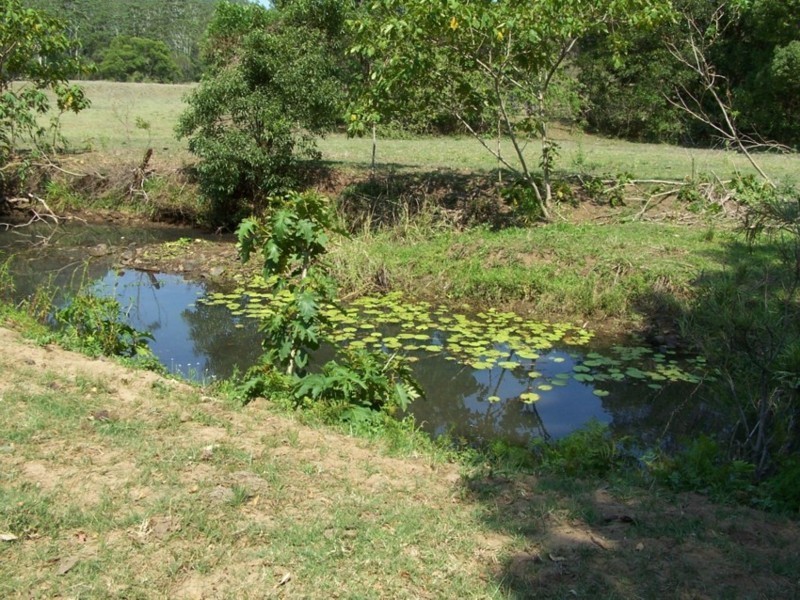 Stanmore QLD 4514