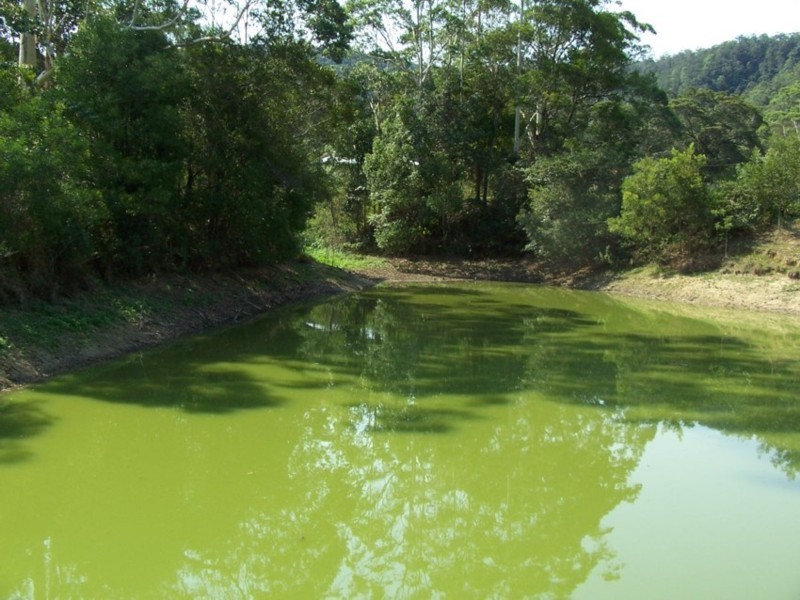 Stanmore QLD 4514