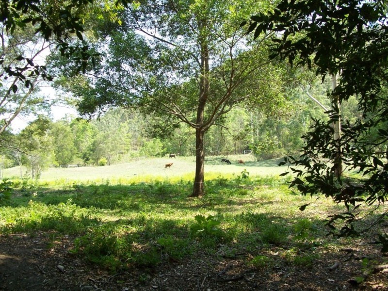 Stanmore QLD 4514