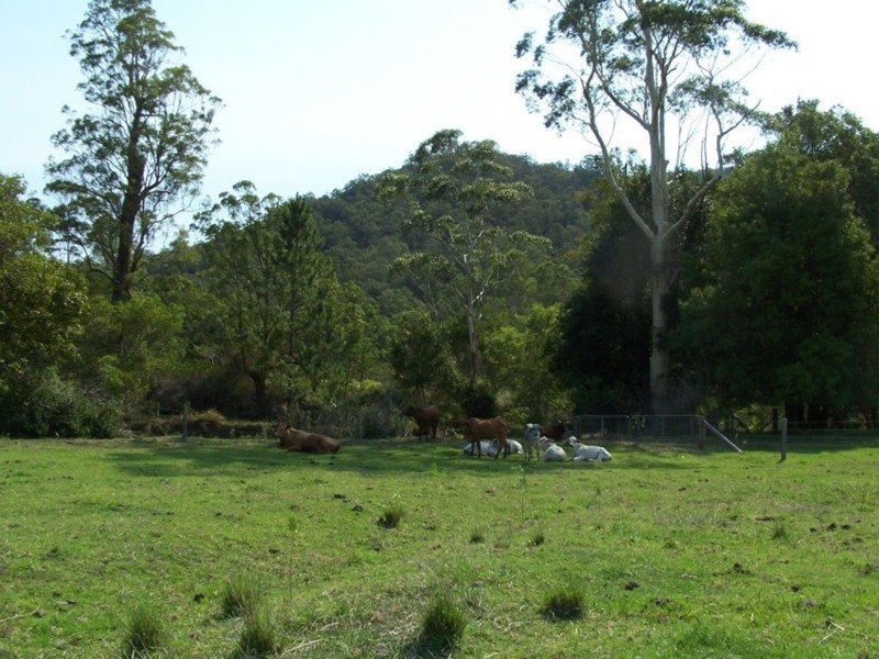 Stanmore QLD 4514