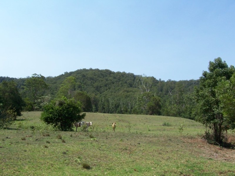 Stanmore QLD 4514