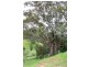 Maleny QLD 4552