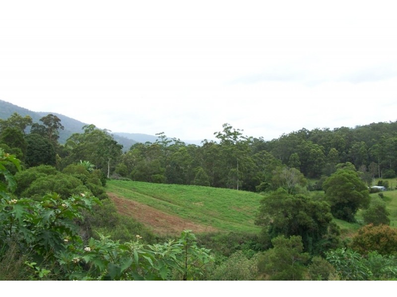 Maleny QLD 4552