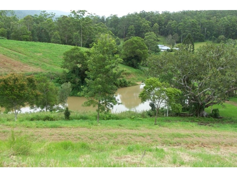 Maleny QLD 4552