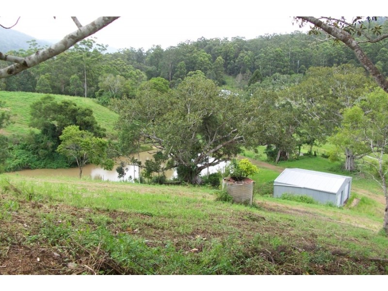 Maleny QLD 4552