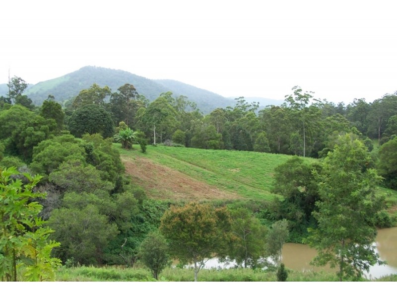 Maleny QLD 4552