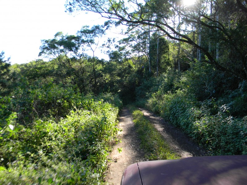 Maleny QLD 4552
