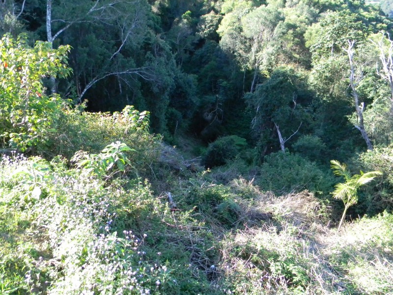 Maleny QLD 4552