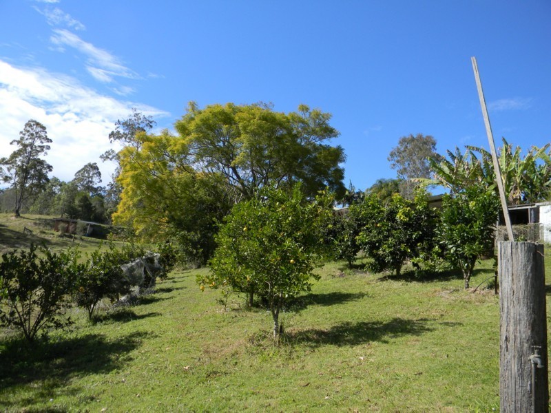 Maleny QLD 4552