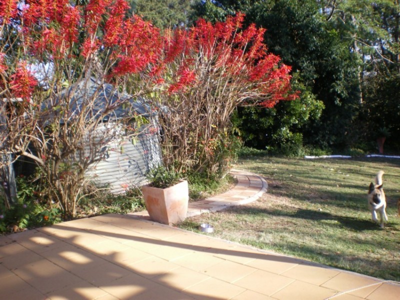 590 Mountain View Road, Maleny QLD 4552