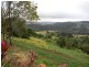 Maleny QLD 4552