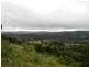 Maleny QLD 4552