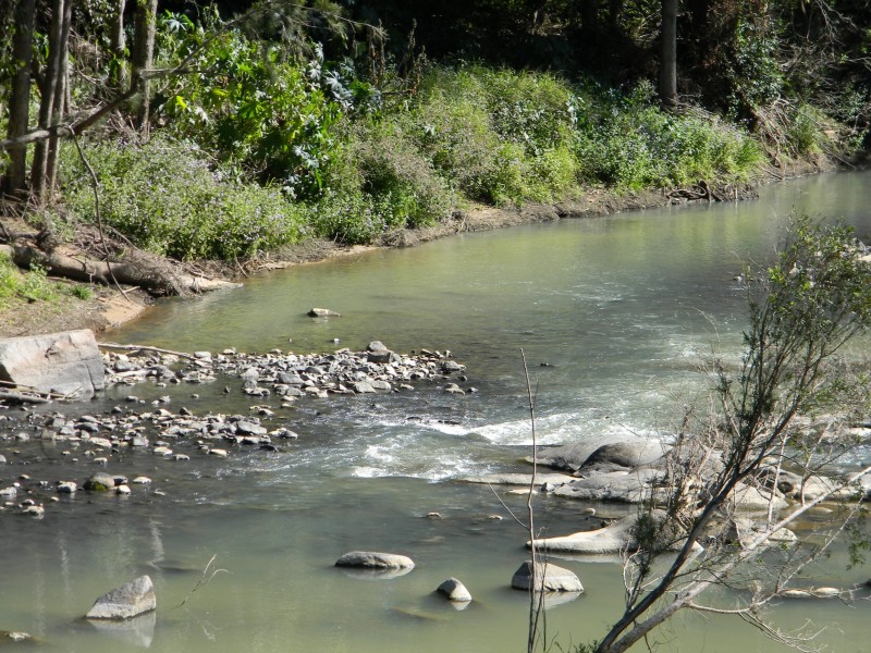 Maleny QLD 4552