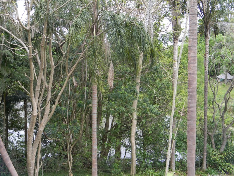 30 Gumland, Maleny QLD 4552