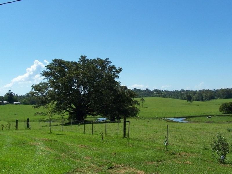 Maleny QLD 4552