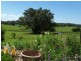 Maleny QLD 4552