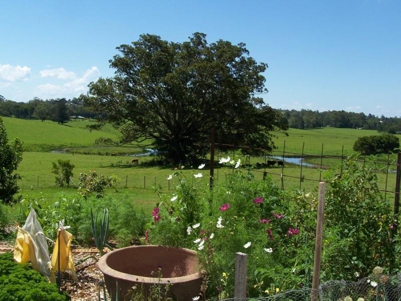 Maleny QLD 4552