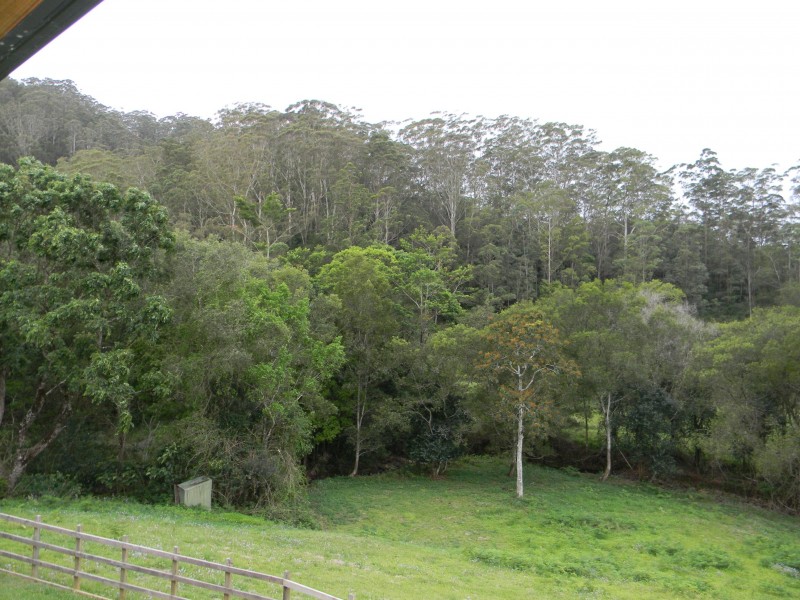 Maleny QLD 4552